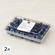 엠팍 칠레산 생블루베리, 310g, 2개