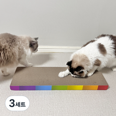 마아 고양이 특대형 무지개 스크래쳐 64cm + 캣닢 세트, 평판형, 3세트