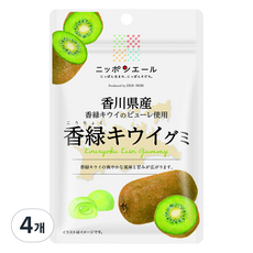 Nippon Yell JA全農果凍 香川香綠奇異果軟糖, 40g, 4個