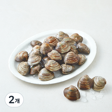 바다림 중국산 생물 백생합 조개, 2개, 1.5kg