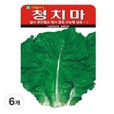 아람종묘 청치마 상추 씨앗 2000p, 6개