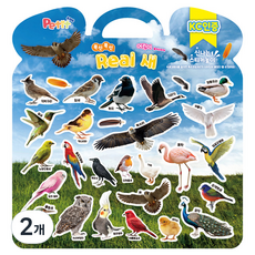 쁘띠팬시 아동용 폭신폭신 놀이스티커 리얼 새, 혼합색상, 2개