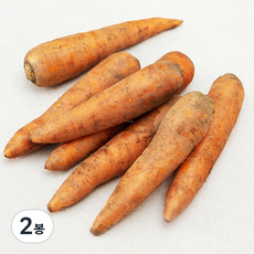 친환경 주스용 흙당근, 1kg, 2봉