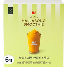 HOLLYS 濟州柑橘果昔條, 16g, 40件, 6個