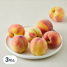 아주마 산지직송 영동 부드러운 황도복숭아, 3박스, 2kg
