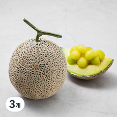기차타고멜론마을 곡성 멜론, 1.6kg, 3개