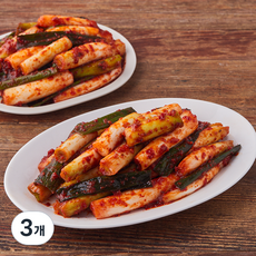 콕집어콕 콕 대파김치, 1.5kg, 3개