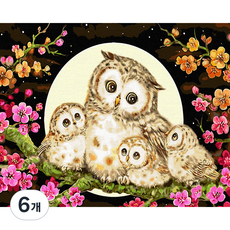 플레이어바웃 유화 피포페인팅 DIY 명화 그리기 40 x 50 cm 달빛 부엉이, 혼합색상, 6개