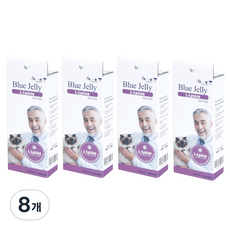 블루벳 고양이 블루젤리 영양제, 8개, 엘라이신, 5개입