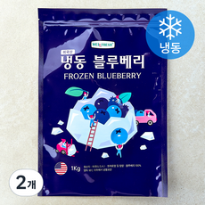 웰프레쉬 미국산 블루베리 (냉동), 2개, 1kg