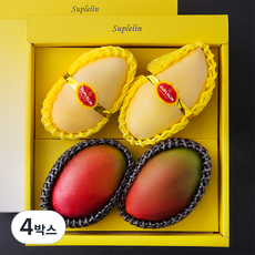 수플린 애플망고 2입 + 태국 골드망고 2입 선물세트 1.5kg, 4박스