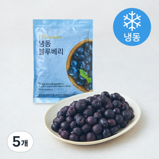 아침과저녁 아침앤저녁앤 블루베리 (냉동), 5개, 900g