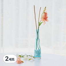 아스파시아 하와이 해변 알로하꽃 디퓨저 세트 피치핑크, 아니스 시나몬, 100ml, 2세트