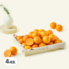 Sunkist 캘리포니아산 감귤 선물세트, 4세트, 3kg