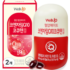 웰업 혈압메이트 코엔자임Q10 코큐텐 30g, 60정, 2개
