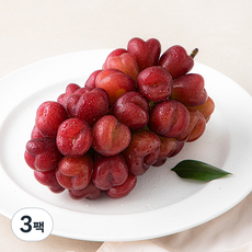 중화농협 마이하트 포도, 600g, 3팩
