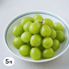 영길팜 알알이 샤인머스캣, 5개, 500g