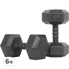 아이워너 맨즈 육각아령 블랙, 8kg, 6개