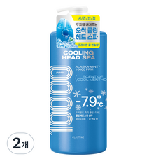 엘라스틴 쿨링 헤드 스파 10000 샴푸 쿨멘솔, 1L, 2개