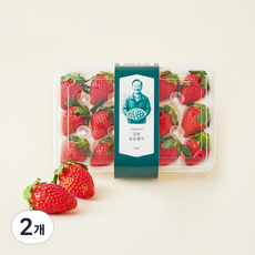 이규원 농부의 고성 금실딸기 12~15개입, 350g, 2개
