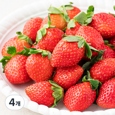 산지직송 예담 설향딸기, 500g(상), 4개