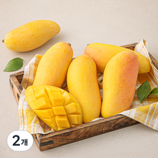 맛젤 태국산 마하차녹 망고 4~6입, 1.95kg, 2개
