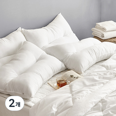아이르 필 경추 지퍼형 베개솜, 2개, 화이트