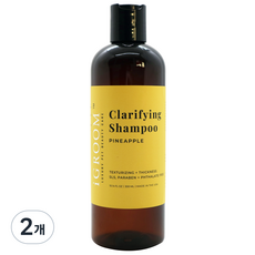 아이그룸 강아지 클래리파잉 샴푸 파인애플, 300ml, 1개입, 2개