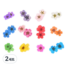 SM Innovation 美甲乾燥花 珍珠花 12款, 混合顏色, 2套