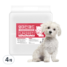 영마진 강아지 배변패드 스탠다드, 100개입, 4개