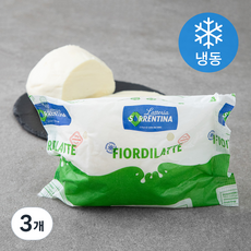 소렌티나 피오르디라테 치즈 (냉동), 500g, 3개