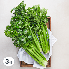 국내산 통 셀러리, 2kg, 3개