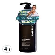 더모티브 퍼퓸 올인원 워시 포맨 시트러스우디향, 4개