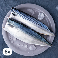 살맛나요 노르웨이 손질 신선한 고등어 (냉장), 300g, 6개
