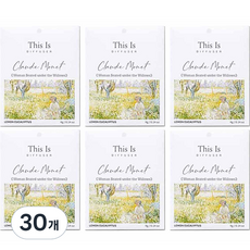 디스이즈명화 걸이형 종이사쉐 본품, 4g, 30개, 레몬유칼립투스