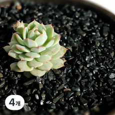 수아쿠아 네이처굿즈 흑자갈 3~5mm, 4개, 2kg