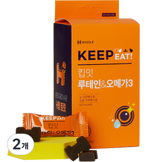 허글 반려동물 킵잇 영양제, 150g, 눈물개선/눈건강, 2개