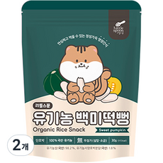 리틀스푼 쌀과자 유기농 떡뻥 스틱 백미떡뻥, 단호박, 30g, 2개