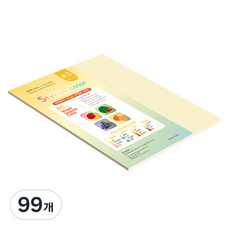 종이문화 스타일리쉬 시즌칼라 복사용지 01 SS Spring 80g, A3, 99개