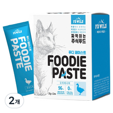 에프디와일드 고양이 푸디페이스트 주식 파우치 12p, 420g, 2개, 오리