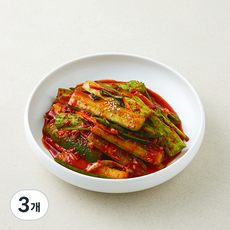 콕집어콕 콕 오이부추김치, 1kg, 3개