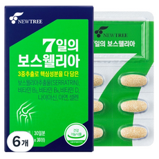 뉴트리 7일의 보스웰리아 30p, 6개, 30정