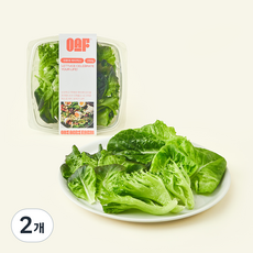 원에이커팜 무농약 인증 파티믹스, 250g, 2개, 1개입