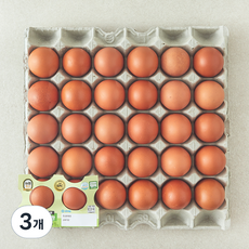 농협 EPC 무항생제 인증 1등급 대란 1.56kg, 30구, 3개