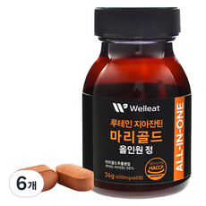 웰리트 루테인 지아잔틴 마리골드 올인원 정, 6개, 36g