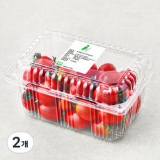 아이농 친환경 대추 방울토마토, 750g, 2개