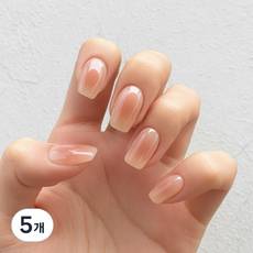 젤리팝 디자인 셀프 네일 아트 그라데이션 네일스티커 TS, 5개, 04 블러시블룸