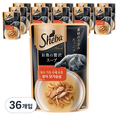 쉬바 1세 이상 고양이 수제 수프 간식, 혼합맛(참치/닭가슴살), 40g, 36개