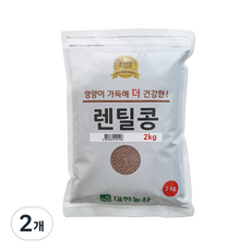 대한농산 렌틸콩, 2kg, 2개