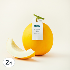 온브릭스 프리미엄 양구 멜론, 2개, 1.5kg
